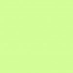 Exalt_LightGreen_Background-758×1170.jpg