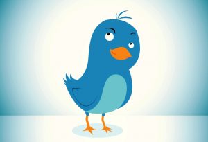 Blue Bird twitter