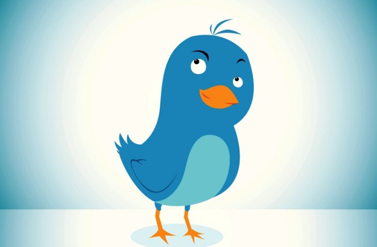 THE BLUE BIRD Blue Bird twitter