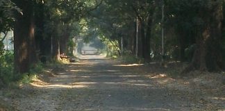 হাতছানি