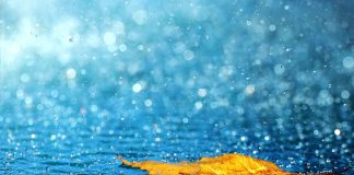 SAWAN * THE MONSOON * SAWAN * THE MONSOON *