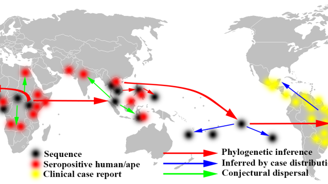 The attack of ZIKA