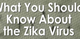The attack of ZIKA