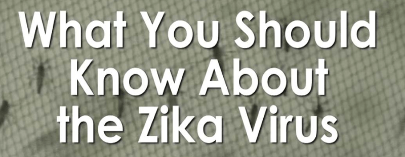 The attack of ZIKA