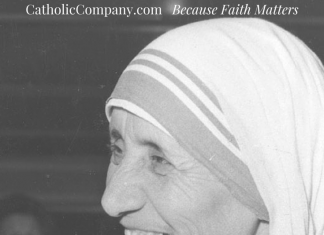 Canonization of Mother Teresa's Pilgrimage
