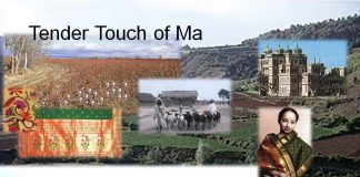 Tender Touch of Ma