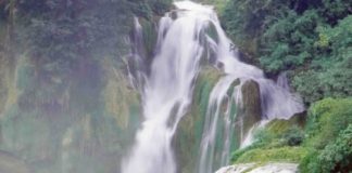 প্রবাহিনী