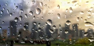 মন খারাপের দিনে মন খারাপের দিনে