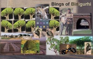 The Bings of Binigurhi