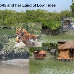 Bonbibi and her Land of Low Tides