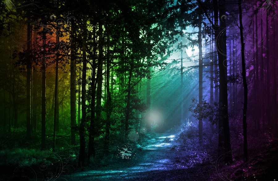 Magic-forest e