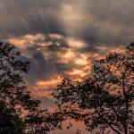 IMG-20180926-WA0008