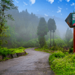 7ce3b48868d14b62ce93e092c46187e1