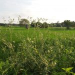 20160917_170214-min-min