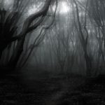 darkforest