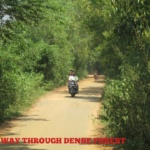 0b2fb72c-ddcd-4a71-89b5-f72aaa856def