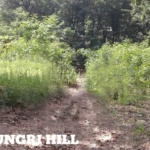 68d6ab23-49e8-451e-a89a-1818a1972801