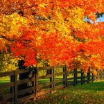 42320729-4631-4b3d-b46f-9d867a43ef2c_1140x641-513ec324