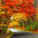 GettyImages-1019444230-513f8061