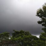 IMG_20200926_161442-56056246