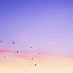 PicsArt_09-22-06.42.32-593bbb27