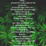 Polish_20191115_180344736-8a61902c