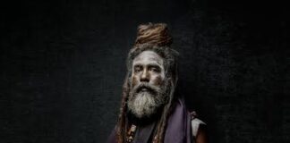 সাধু ও সাধারণ