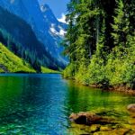 nature–wallpaper-ebdc2376