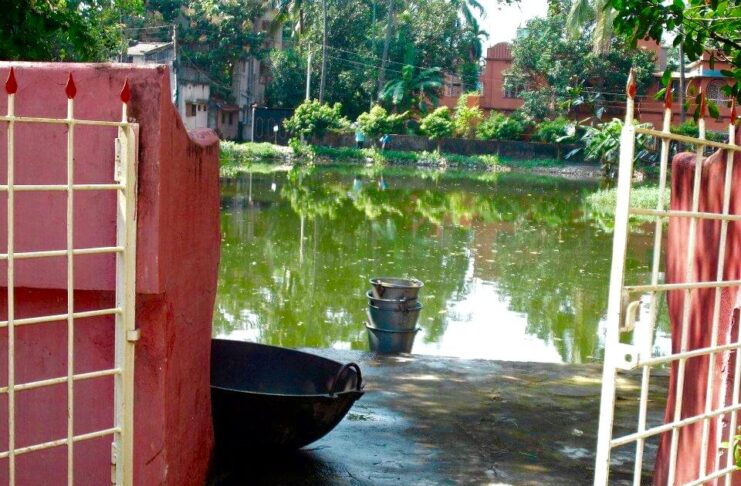 পুকুরের সাথে কিছুসময় একান্তে
